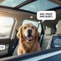 Why Your Dog Might Prefer an EV Over a Gas Car